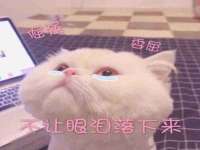 丹东市振兴区派特生物皮肤病研究所