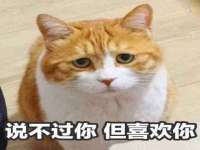 丹东市振兴区派特生物皮肤病研究所
