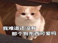丹东市振兴区派特生物皮肤病研究所