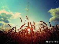 丹东市振兴区派特生物皮肤病研究所