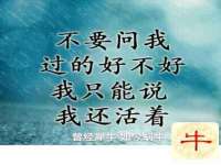 丹东市振兴区派特生物皮肤病研究所