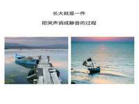 丹东市振兴区派特生物皮肤病研究所
