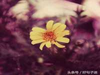 丹东市振兴区派特生物皮肤病研究所