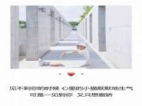 丹东市振兴区派特生物皮肤病研究所