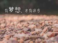 丹东市振兴区派特生物皮肤病研究所