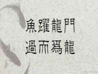 丹东市振兴区派特生物皮肤病研究所