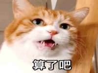 丹东市振兴区派特生物皮肤病研究所