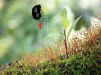 丹东市振兴区派特生物皮肤病研究所
