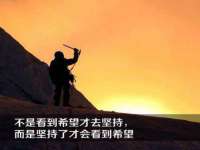 丹东市振兴区派特生物皮肤病研究所