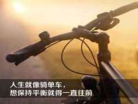丹东市振兴区派特生物皮肤病研究所