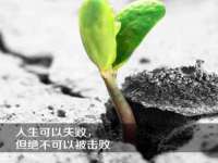 丹东市振兴区派特生物皮肤病研究所