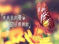 丹东市振兴区派特生物皮肤病研究所