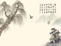 丹东市振兴区派特生物皮肤病研究所
