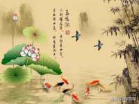 丹东市振兴区派特生物皮肤病研究所