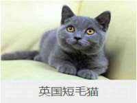 丹东市振兴区派特生物皮肤病研究所