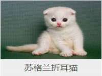 丹东市振兴区派特生物皮肤病研究所