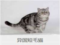 丹东市振兴区派特生物皮肤病研究所