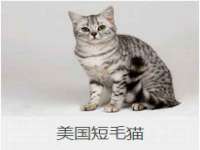丹东市振兴区派特生物皮肤病研究所