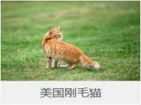丹东市振兴区派特生物皮肤病研究所