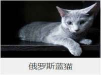 丹东市振兴区派特生物皮肤病研究所