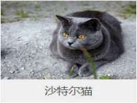 丹东市振兴区派特生物皮肤病研究所
