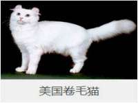 丹东市振兴区派特生物皮肤病研究所