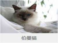 丹东市振兴区派特生物皮肤病研究所