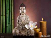 丹东市振兴区派特生物皮肤病研究所