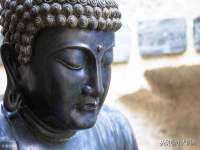 丹东市振兴区派特生物皮肤病研究所