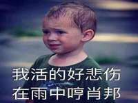 丹东市振兴区派特生物皮肤病研究所