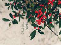 丹东市振兴区派特生物皮肤病研究所