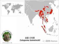 丹东市振兴区派特生物皮肤病研究所