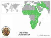 丹东市振兴区派特生物皮肤病研究所