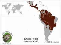 丹东市振兴区派特生物皮肤病研究所