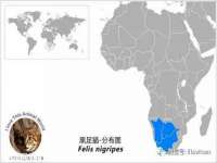 丹东市振兴区派特生物皮肤病研究所