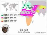 丹东市振兴区派特生物皮肤病研究所