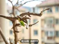 丹东市振兴区派特生物皮肤病研究所