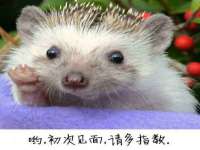 丹东市振兴区派特生物皮肤病研究所