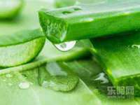 丹东市振兴区派特生物皮肤病研究所
