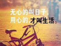 丹东市振兴区派特生物皮肤病研究所