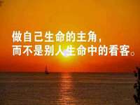 丹东市振兴区派特生物皮肤病研究所