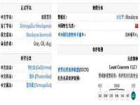 丹东市振兴区派特生物皮肤病研究所