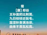丹东市振兴区派特生物皮肤病研究所