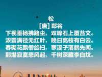 丹东市振兴区派特生物皮肤病研究所