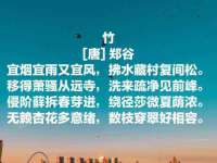 丹东市振兴区派特生物皮肤病研究所