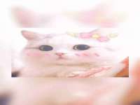 丹东市振兴区派特生物皮肤病研究所