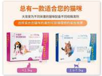 丹东市振兴区派特生物皮肤病研究所