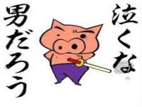 丹东市振兴区派特生物皮肤病研究所