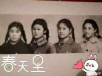 丹东市振兴区派特生物皮肤病研究所