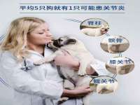 丹东市振兴区派特生物皮肤病研究所